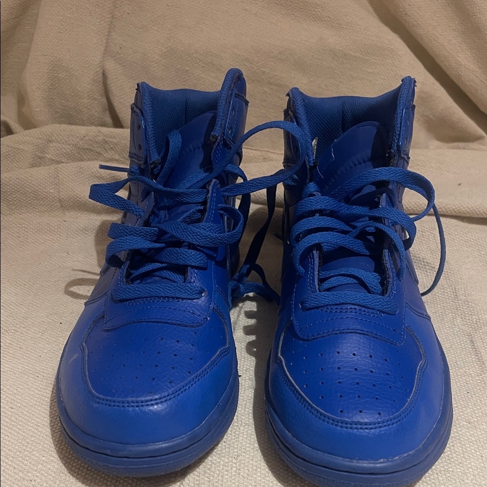Nike Royal Blue Sneakers